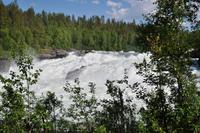 Målselvfossen