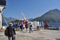 Hanøy, Insel Austvagøya, Lofoten - Seeadlersafari