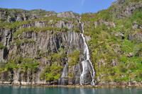 Seeadlersafari - Raftsund - Trollfjord