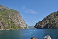 Seeadlersafari - Raftsund - Trollfjord