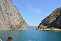Seeadlersafari - Raftsund - Trollfjord