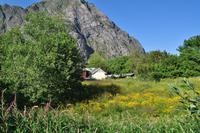 Å, Insel Moskenesøya,Lofoten