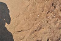 Wüstensand... am Äqu....Polarkreis