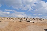 Polarkreiszentrum auf dem Saltfjell, Norwegen