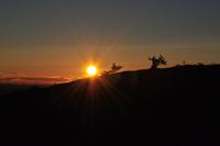 Abendspaziergang auf dem Luostotunturi - Finnisch Lappland