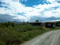 Auf dem Dovrefjell