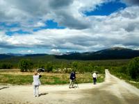 Auf dem Dovrefjell