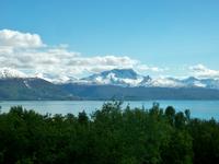 Blick auf Narvik