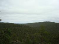 DSC04730