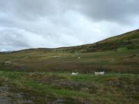 DSC04751