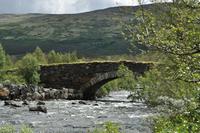 E6 - Dovrefjell