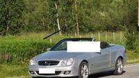 In der zentralen Bildmitte steht ein Elch! (Der Mercedesfahrer und seine Frau ist nicht gemeint!) - An der E6 in Lakselv