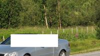 In der zentralen Bildmitte steht ein Elch! (Der Mercedesfahrer und seine Frau ist nicht gemeint!) - An der E6 in Lakselv