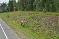 Lappland