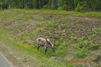 Lappland