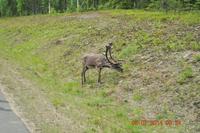 Lappland