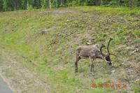 Lappland