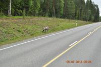 Lappland