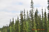Lappland