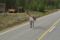 Lappland