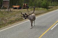 Lappland