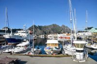 Lofoten Fischerdorf Henningsvær