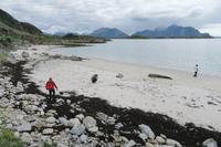 Lofotenstrand
