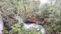 Målselvfoss (Lachstreppe)