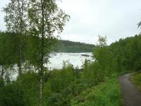 Målselvfossen