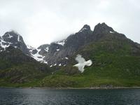 Möwe