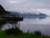 Morgens am Fjord