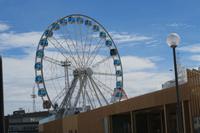 Riesenrad im Hafen