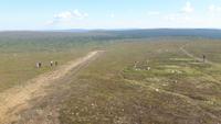 Saariselkä (Gipfel des Kaunispää)