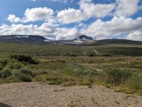 Saltfjell