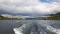 Seeadler-Safari von Hanøy nach Svolvaer (Raftsund-Brücke)