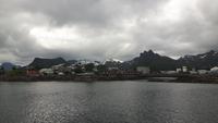 Seeadler-Safari von Hanøy nach Svolvaer (Svolvaer)