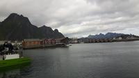 Seeadler-Safari von Hanøy nach Svolvaer (Svolvaer)