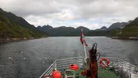 Seeadler-Safari von Hanøy nach Svolvaer (Trollfjord)
