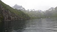 Seeadler-Safari von Hanøy nach Svolvaer (Trollfjord)