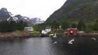 Seeadler-Safari von Hanøy nach Svolvaer