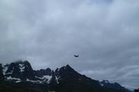 Seeadler