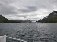 Seeadlersafari - Raftsundbrücke