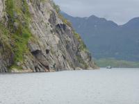 Seeadlersafari - Troll im Trollfjord