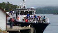 Seeadlersafari im Raftsund - Lofoten & Vesterålen