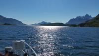 Seeadlersafari im Raftsund - Lofoten & Vesterålen