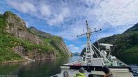 Seeadlersafari im Raftsund zwischen Vesterålen und Lofoten