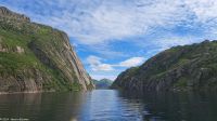 Seeadlersafari im Raftsund zwischen Vesterålen und Lofoten