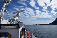 Seeadlersafari im Raftsund zwischen Vesterålen und Lofoten