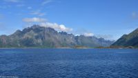 Seeadlersafari im Raftsund zwischen Vesterålen und Lofoten