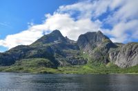 Seeadlersafari im Raftsund zwischen Vesterålen und Lofoten